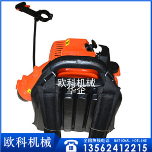 清除蔬菜大棚上的积雪机  树叶灰尘马路清理机&nbsp;&nbsp;吹尘机&nbsp;&nbsp;吹雪机