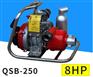 QSB250森林消防泵江苏厂家