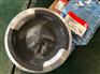 马勒活塞3631246【KTA38活塞组件】进口货