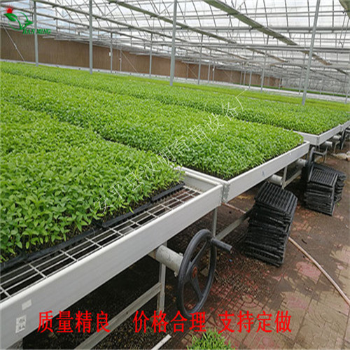 定做大棚育苗床-汉明移动式育苗床-诚信苗床公司  移动式育苗床公司