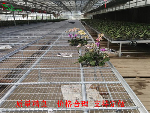 厂家供应移动式苗床 育苗架 活动式苗床 长期现货  移动式苗床 厂家  移动苗床 价格  移动苗床 图片