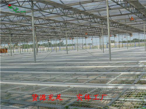 厂家供应移动式苗床 育苗架 活动式苗床 长期现货  移动式苗床 厂家  移动苗床 价格  移动苗床 图片