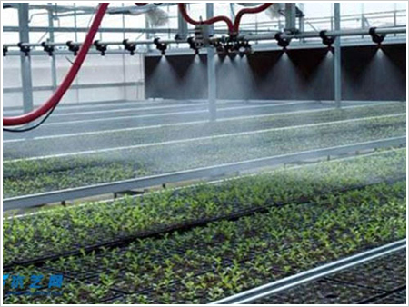 尚义县全自动喷灌机花卉种植苗床-华耀农业