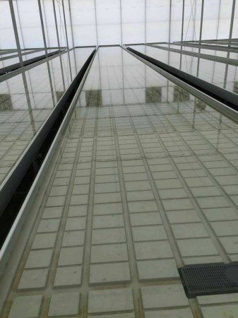 大棚内花卉育苗移动苗床 规模化养花种植必备  大棚内花卉育苗床