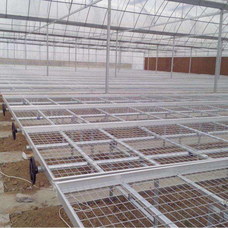 温室移动育苗栽培床 培养植物花卉种植床  温室移动育苗床