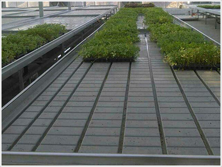 日光温室潮汐移动苗床 提高种植面积利用率