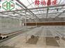 温室大棚苗圃花卉移动苗床选择要点