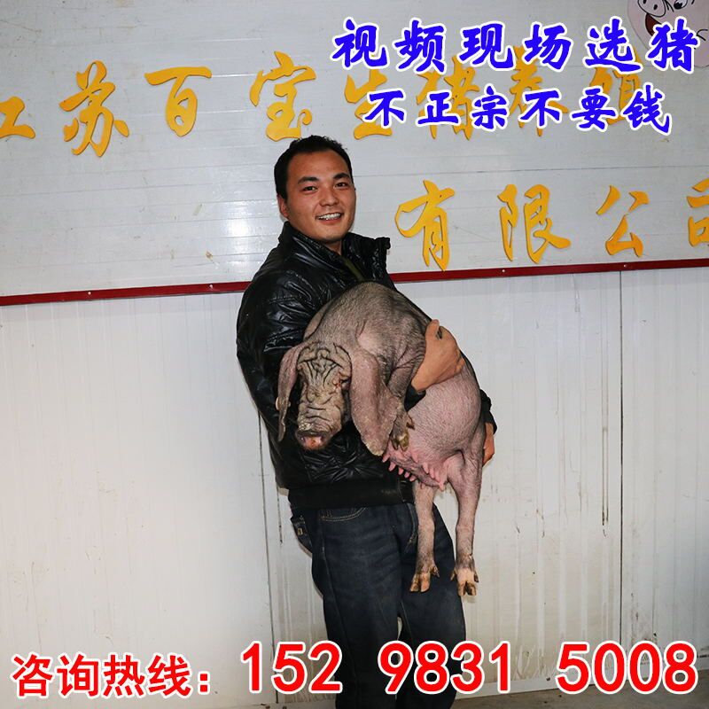 江苏德和生猪养殖有限公司
