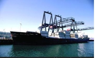 阳江到嘉兴海运集装箱运输专线&nbsp;&nbsp;嘉兴到阳江海运&nbsp;&nbsp;阳江海运运输