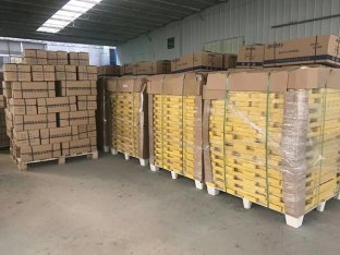 地下综合管廊电缆支架批量生产  玻璃钢电缆支架  电缆支架厂家