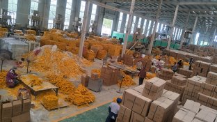 复合材料玻璃钢电线托架厂家直供  电缆支架  玻璃钢电缆支架  电缆支架厂家
