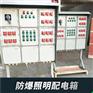 防爆厂家直销防爆配电箱 防爆控制箱 碳钢箱 防爆铝箱 铁箱