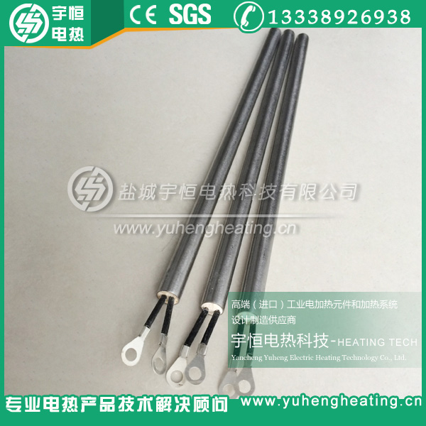 带接线片内出线单头加热管  内出线加热管  高温加热管  进口加热管