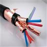 计算机电缆ZR-DJYP2VP2-2*3*1.0质量上乘