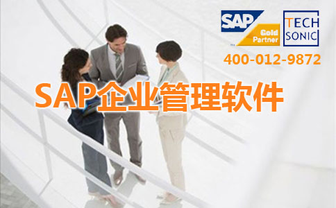 天津SAP ERP咨询公司 SAP中小企业管理软件 北京达策