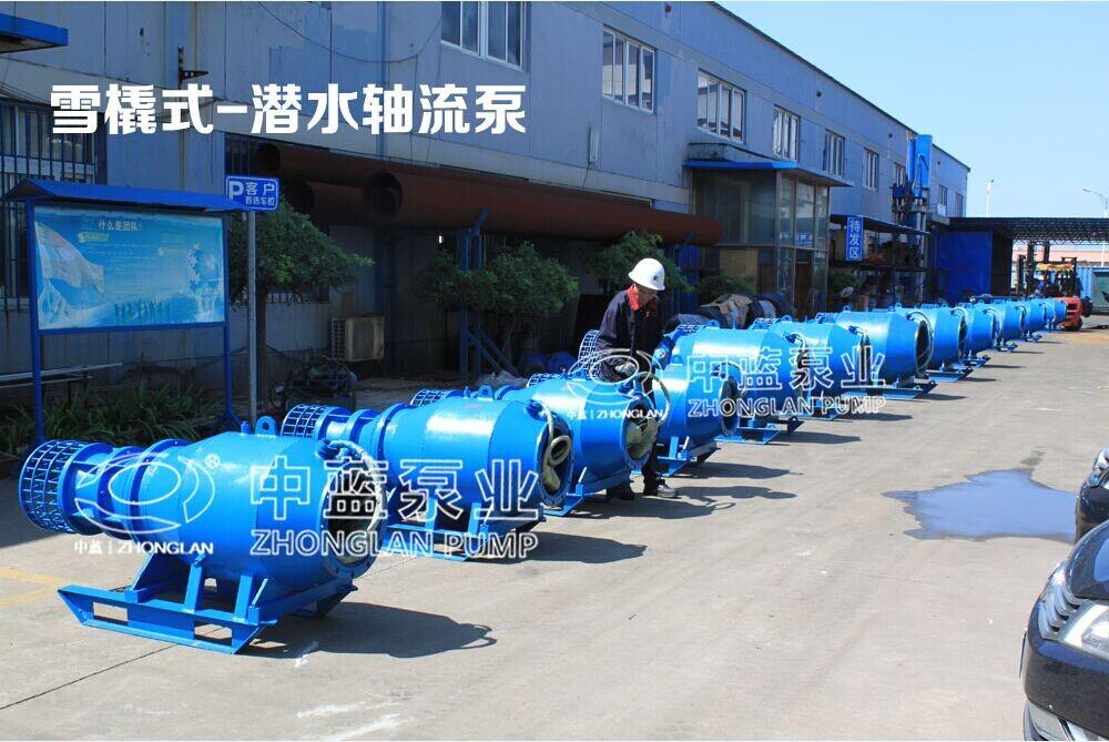 大流量低扬程潜水泵厂家  潜水轴流泵  大流量潜水轴流泵  大流量潜水轴流泵厂家