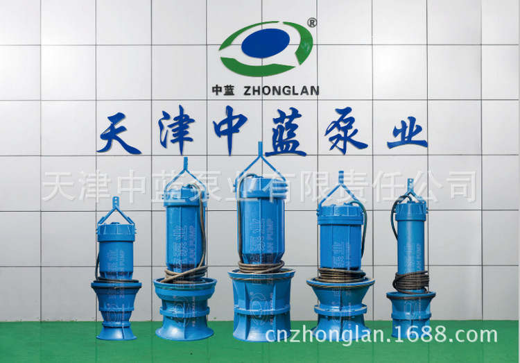 高端潜水轴流泵生产厂家  高端潜水轴流泵厂家