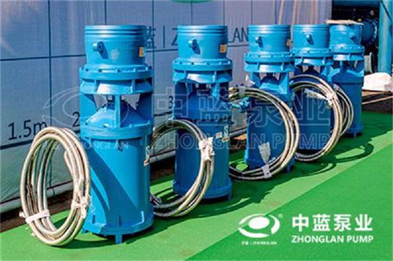 中吸式轴流泵厂家