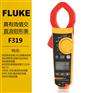 Fluke交直流钳形表F319福禄克