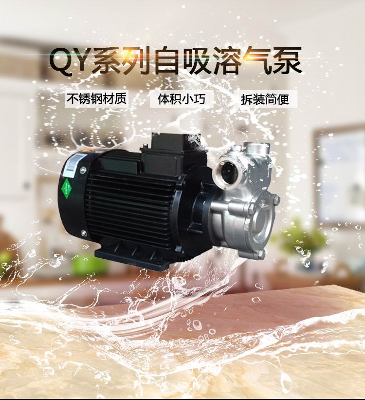 40QY-6SS气浮臭氧污水处理溶气混合泵  溶气泵