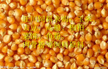 旺川求购玉米高粱  棉粕