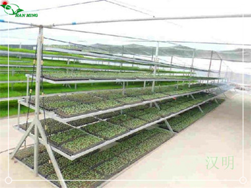 汉明多层移动苗床 提高土地利用率的技巧  多层移动苗床厂家  多层移动苗床供应