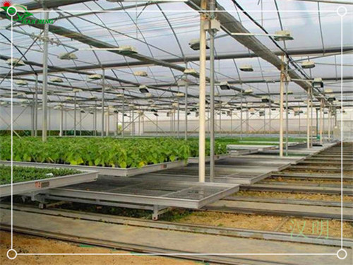 汉明多层移动苗床 提高土地利用率的技巧  多层移动苗床厂家  多层移动苗床供应