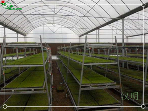 汉明多层移动苗床 提高土地利用率的技巧  多层移动苗床厂家  多层移动苗床供应