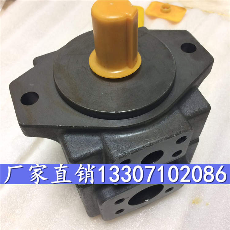 PVL1-31-L-1L-R-10化工泵,油研油泵型号