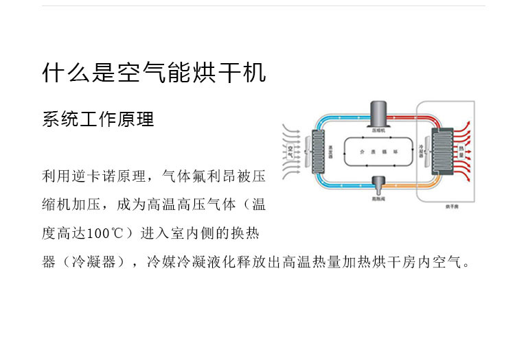 大型方便面挂面干燥房厂家  面皮挂面干燥  大型干燥房