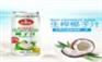 椰子汁饮料980ml罐厂家招商