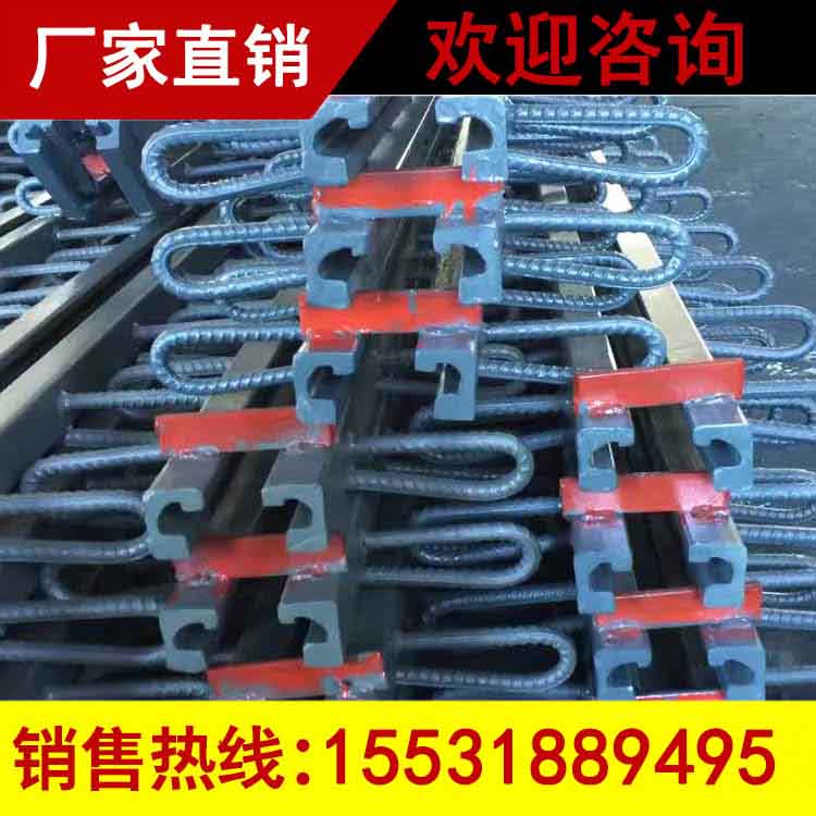 桥梁模数式伸缩缝销售&nbsp;&nbsp;gqf-c型伸缩缝&nbsp;&nbsp;40型伸缩缝