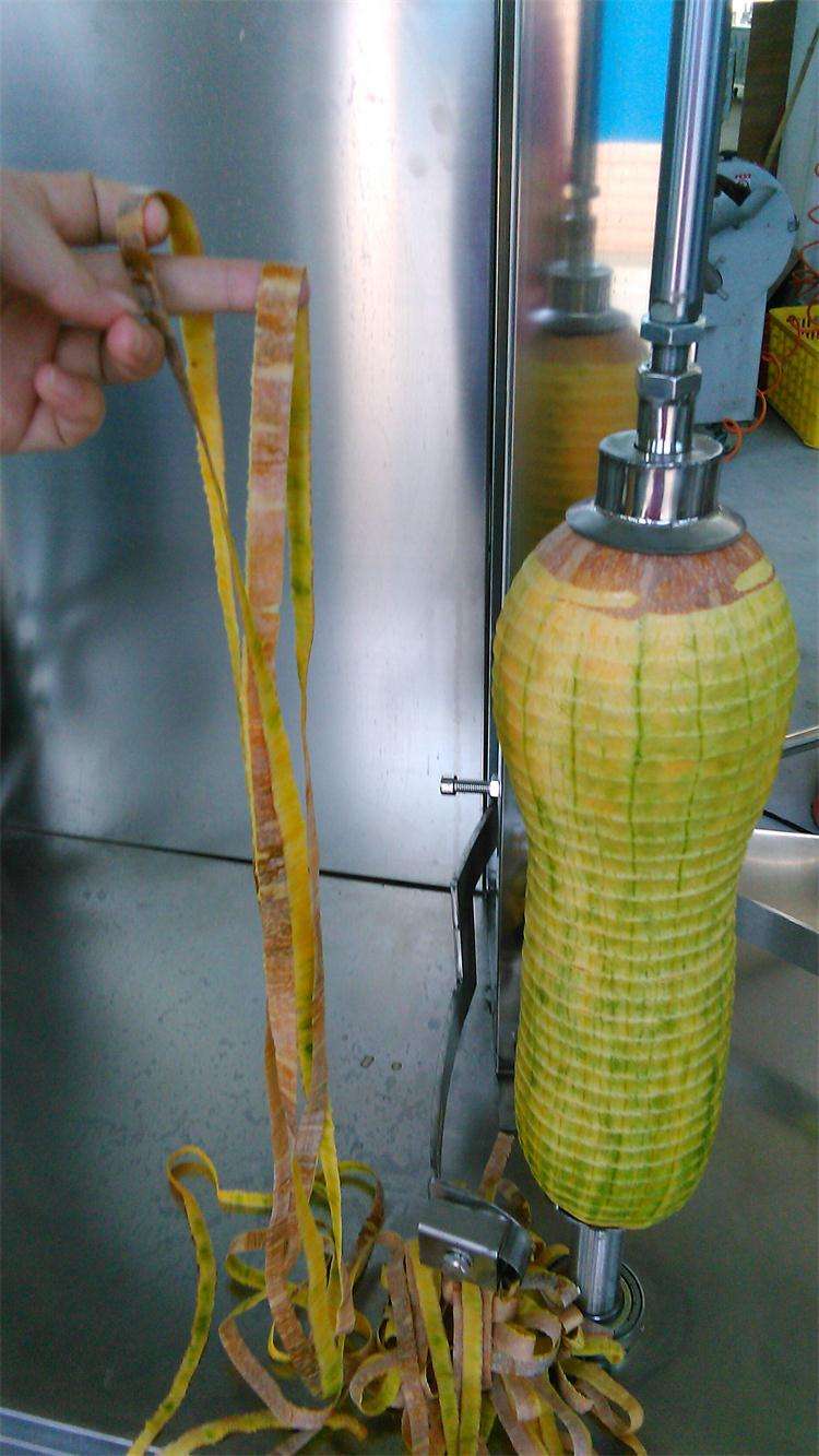 南瓜去皮机 冬瓜削皮机 多隆精品  哈密瓜去皮机