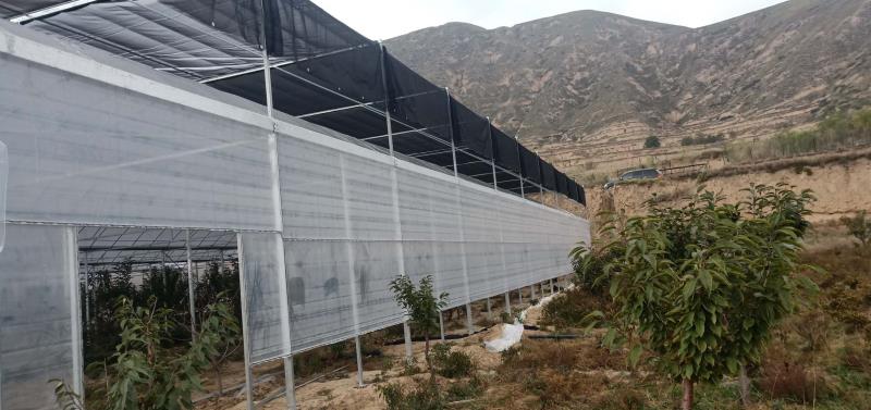 贵贵温室工程设计施工建造连栋薄膜温室 温室大棚 温室施工建造
