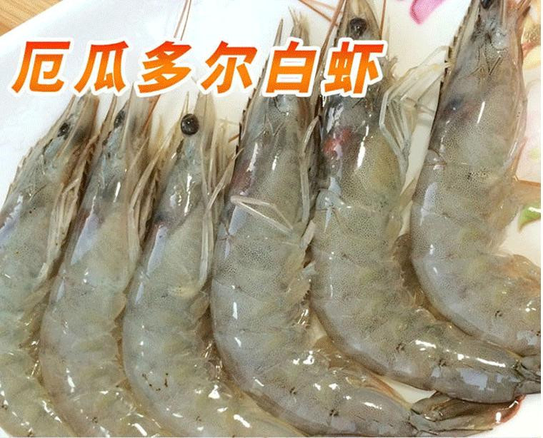 厄瓜多尔对虾进口，报关清关商检包括哪些内容&nbsp;&nbsp;进口报关&nbsp;&nbsp;进口清关