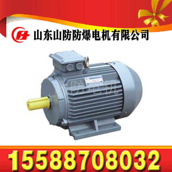 YBSD200/100-4/8矿用隔爆型双速三相异步电动机  YBSD200/100-4电机  YBSD200/100电机  双速水冷电动机