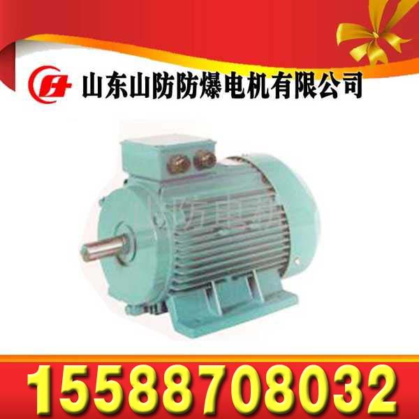 YBSD160/80-4/8矿用隔爆型双速三相异步电动机  YBSD160/80-4/8电机