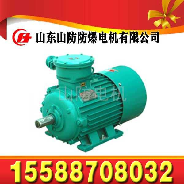 YBSD-132/65-4/8矿用隔爆型双速三相异步电动机  YBSD-132/65-4/8 电机  YBSD132电机  山东山防YBSD-132/65