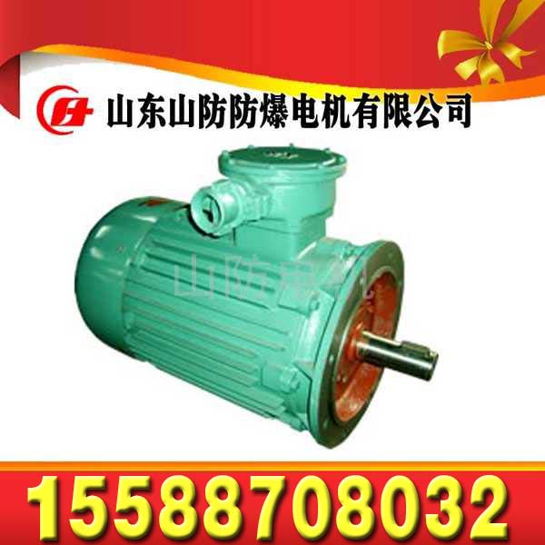YBSD-132/65-4/8矿用隔爆型双速三相异步电动机  YBSD-132/65-4/8 电机  YBSD132电机  山东山防YBSD-132/65