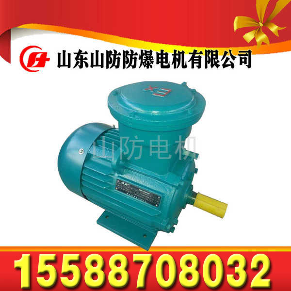 YBSD-110/55-4/8矿用隔爆型双速三相异步电动机  YBSD-110/55-4/8电机