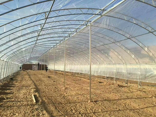 蓄牧养殖温室大棚双膜骨架大棚双链接保温好