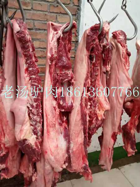 现宰德州黑驴鲜驴肉驴肋条