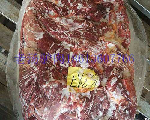 进口蒙古马肉马腿肉马肋条  进口马肉