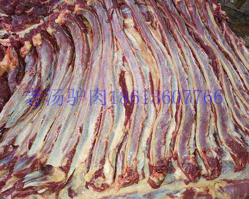 供应马肉马肋条带皮马肋条  鲜马肉
