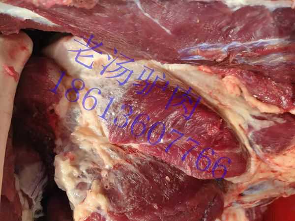 供应新鲜驴肉驴腿肉驴骨头
