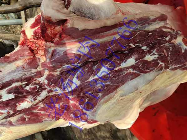 供应新鲜驴肉驴腿肉驴骨头