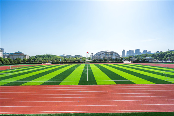 专业人造草足球场施工建设价格费用  人造草足球场铺设  人造草足球场建设