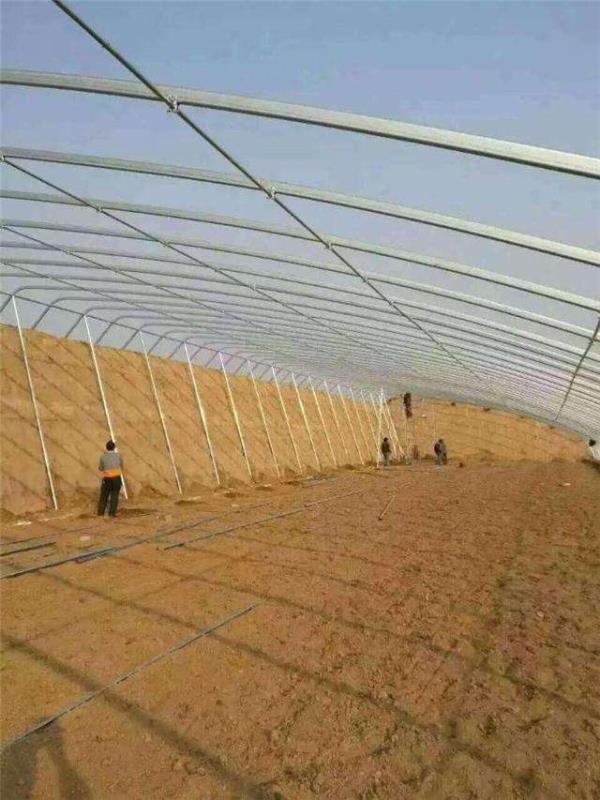 杰俞温室 之日光温室大棚工程设计施工建造 温室工程 温室设计建造