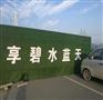 批发零售工地围挡外墙军绿色草皮