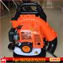 四冲程汽油吹风机 大功率吹雪机 背负式路面清理机